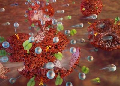 ژنی که می تواند با عفونت بدن مقابله کند ژنی که می تواند با عفونت بدن مقابله کند